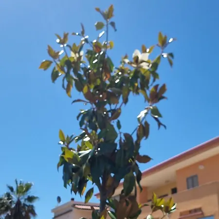 Le Magnolie 3*